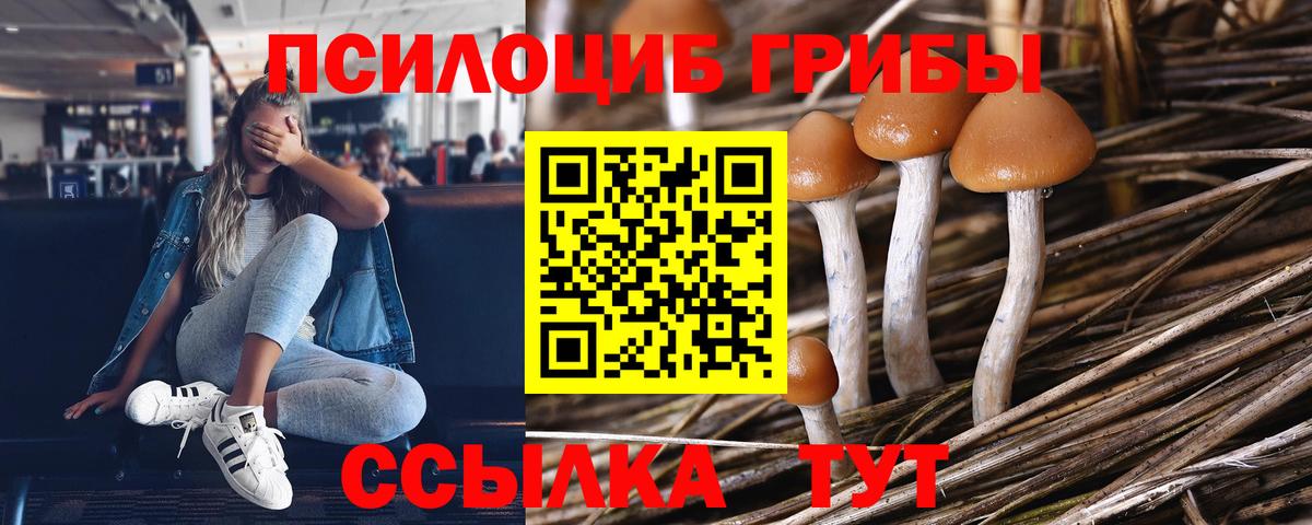 Псилоцибиновые грибы Psilocybine cubensis  Псилоцибиновые грибы MAGIC MUSHROOMS  Вход с VPN  Рубцовск 